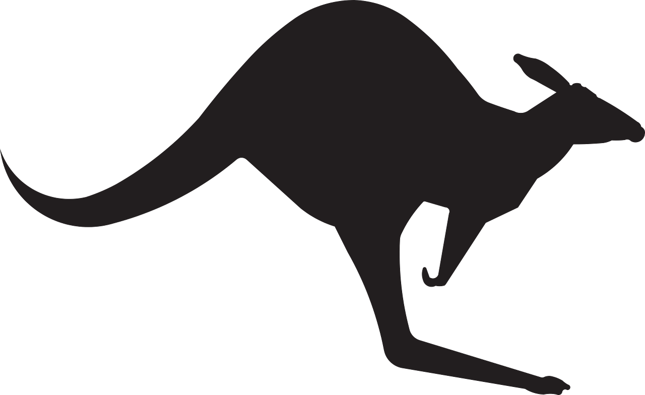 Känguru