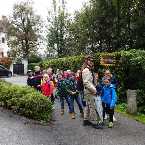 Impressionen