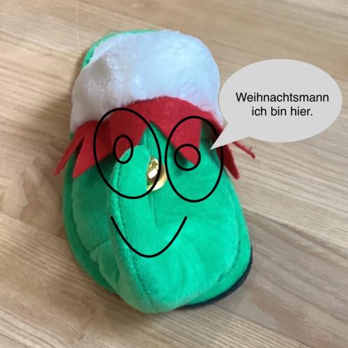 Schuh