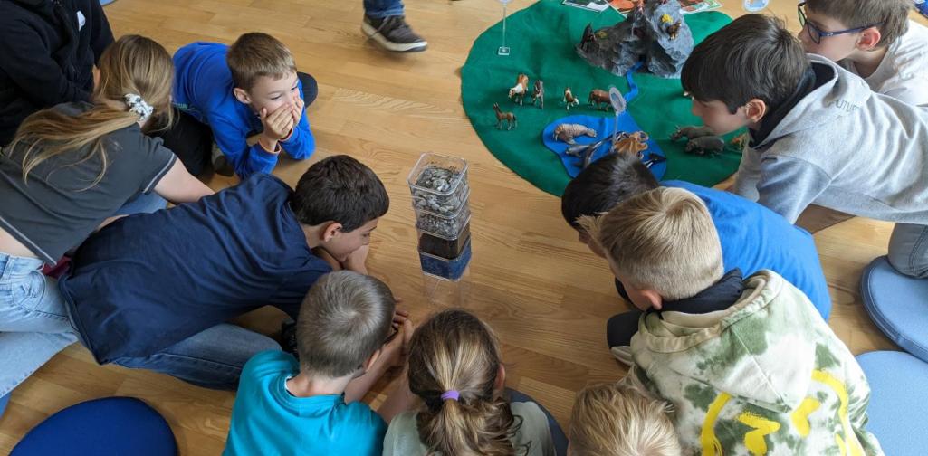 umweltbildung Umweltbildung